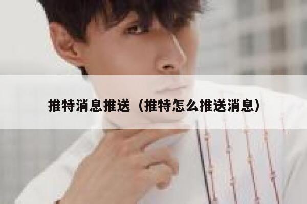 推特消息推送（推特怎么推送消息） 第1张