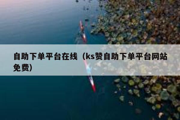自助下单平台在线（ks赞自助下单平台网站免费） 第1张
