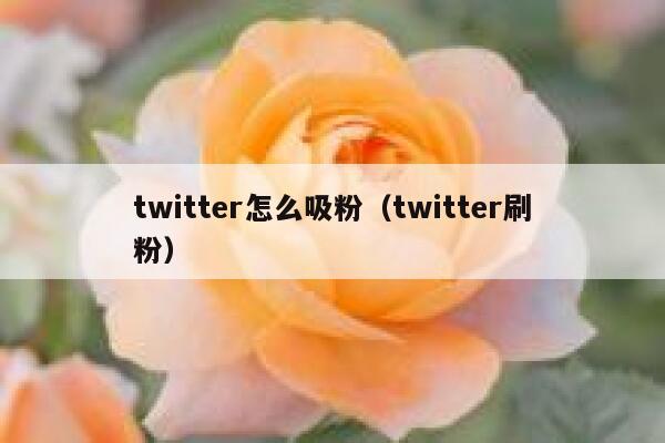 twitter怎么吸粉（twitter刷粉） 第1张