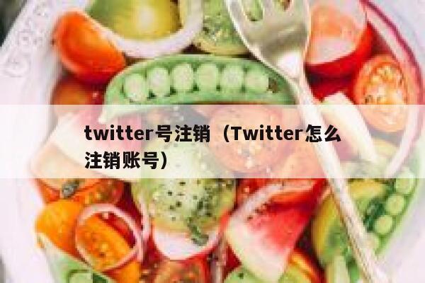 twitter号注销（Twitter怎么注销账号） 第1张