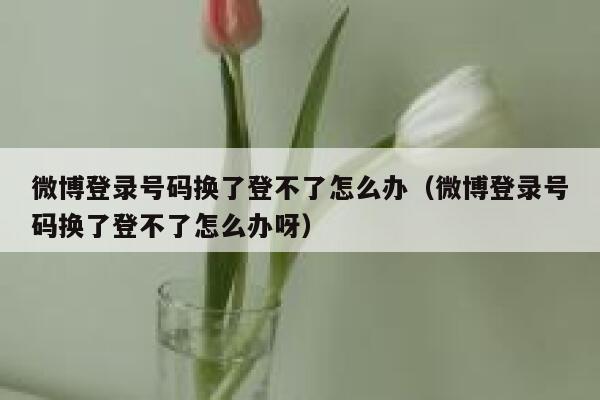 微博登录号码换了登不了怎么办（微博登录号码换了登不了怎么办呀） 第1张