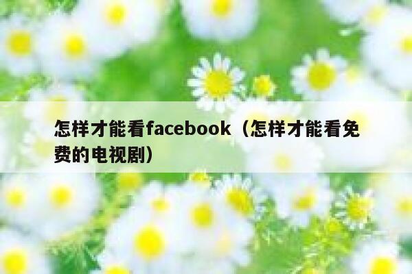 怎样才能看facebook（怎样才能看免费的电视剧） 第1张