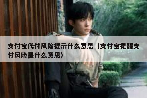 支付宝代付风险提示什么意思（支付宝提醒支付风险是什么意思） 第1张
