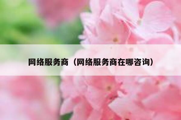 网络服务商（网络服务商在哪咨询） 第1张