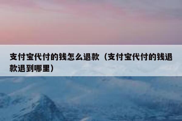 支付宝代付的钱怎么退款(支付宝代付的钱退款退到哪里) 第1张 支付宝代付的钱怎么退款(支付宝代付的钱退款退到哪里) 第1张