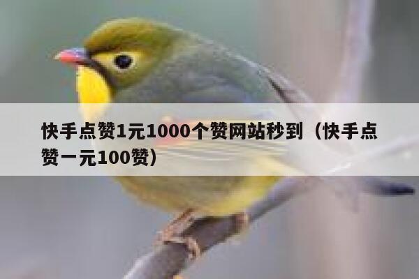 快手点赞1元1000个赞网站秒到(快手点赞一元100赞) 第1张 快手点赞1元1000个赞网站秒到(快手点赞一元100赞) 第1张
