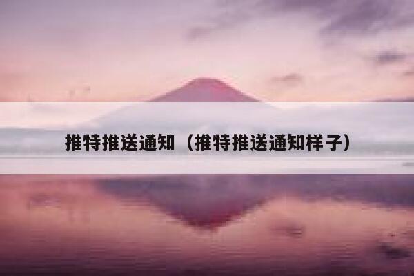 推特推送通知（推特推送通知样子） 第1张