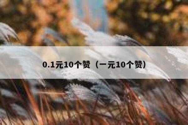 0.1元10个赞（一元10个赞） 第1张