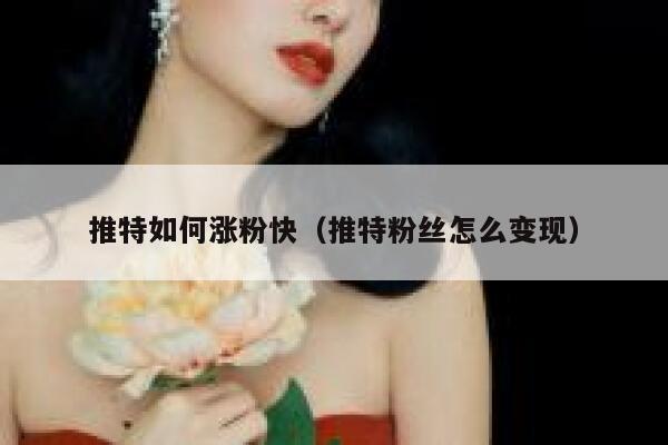 推特如何涨粉快（推特粉丝怎么变现） 第1张