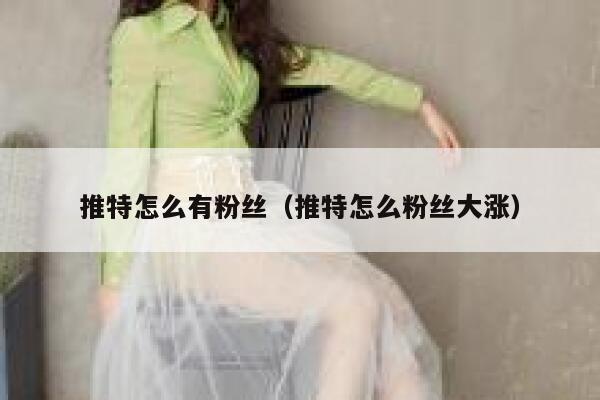 推特怎么有粉丝(推特怎么粉丝大涨) 第1张 推特怎么有粉丝(推特怎么粉丝大涨) 第1张