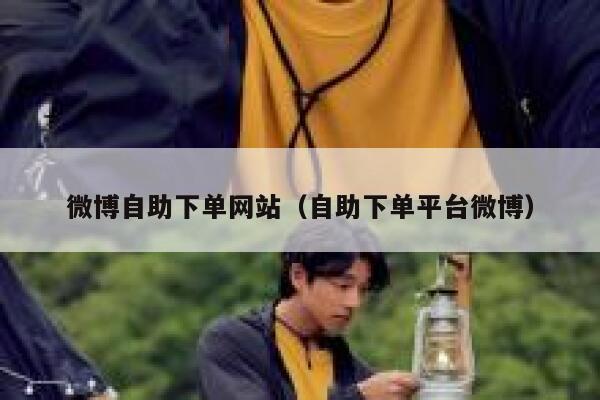 微博自助下单网站（自助下单平台微博） 第1张
