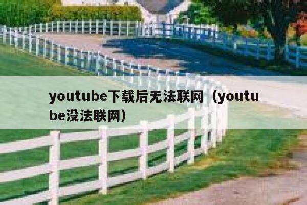 youtube下载后无法联网（youtube没法联网） 第1张