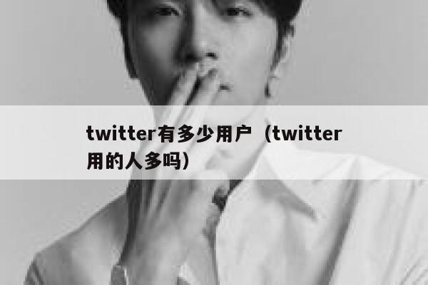 twitter有多少用户（twitter用的人多吗） 第1张