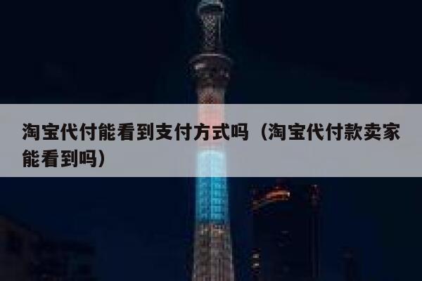 淘宝代付能看到支付方式吗（淘宝代付款卖家能看到吗） 第1张