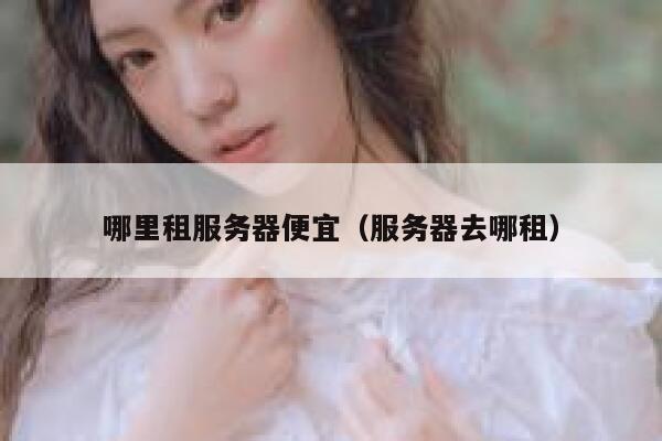 哪里租服务器便宜（服务器去哪租） 第1张