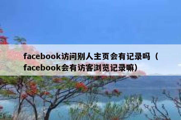 facebook访问别人主页会有记录吗（facebook会有访客浏览记录嘛） 第1张