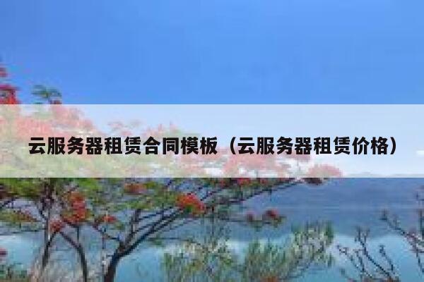 云服务器租赁合同模板（云服务器租赁价格） 第1张