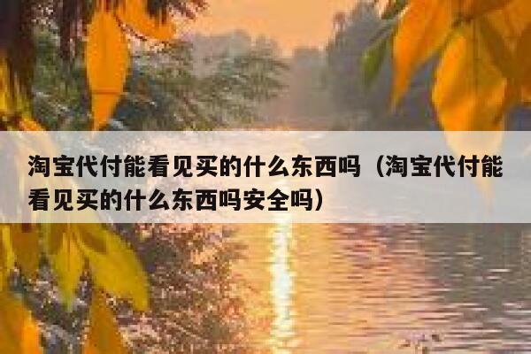 淘宝代付能看见买的什么东西吗（淘宝代付能看见买的什么东西吗安全吗） 第1张