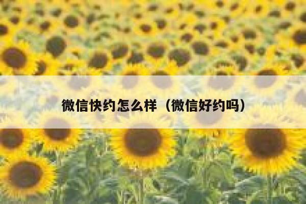 微信快约怎么样（微信好约吗） 第1张