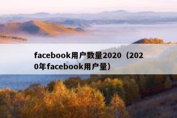 facebook用户数量2020（2020年facebook用户量） 第1张