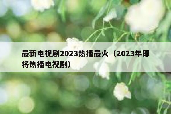 最新电视剧2023热播最火(2023年即将热播电视剧) 第1张 最新电视剧2023热播最火(2023年即将热播电视剧) 第1张