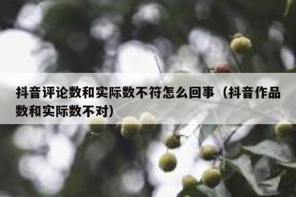 抖音评论数和实际数不符怎么回事(抖音作品数和实际数不对) 第1张 抖音评论数和实际数不符怎么回事(抖音作品数和实际数不对) 第1张