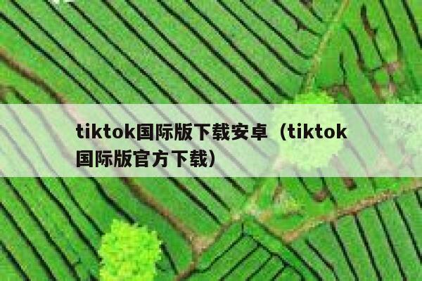 tiktok国际版下载安卓(tiktok国际版官方下载) 第1张 tiktok国际版下载安卓(tiktok国际版官方下载) 第1张