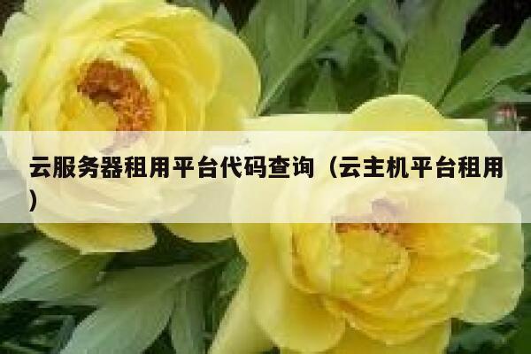 云服务器租用平台代码查询（云主机平台租用） 第1张