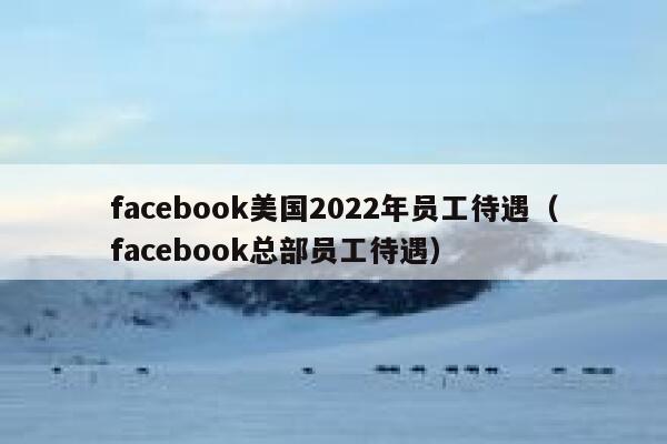 facebook美国2022年员工待遇（facebook总部员工待遇） 第1张