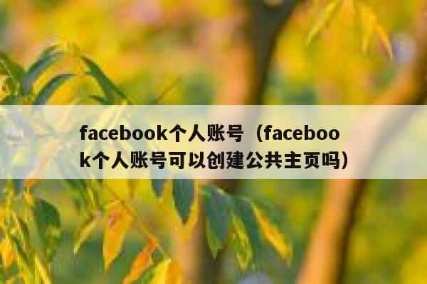 facebook个人账号（facebook个人账号可以创建公共主页吗） 第1张