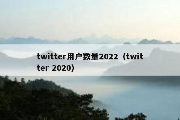 twitter用户数量2022（twitter 2020） 第1张