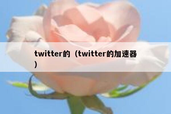 twitter的（twitter的加速器） 第1张