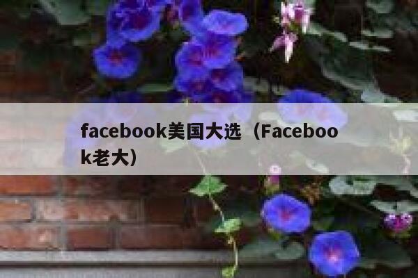facebook美国大选（Facebook老大） 第1张