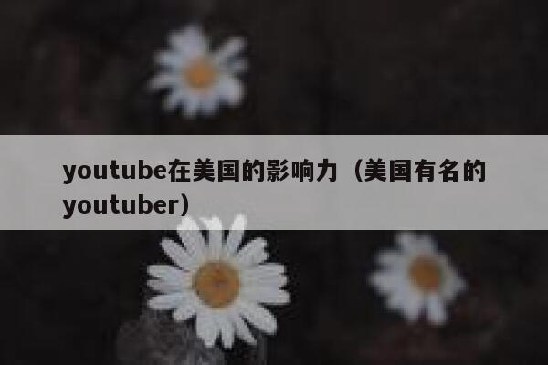 youtube在美国的影响力（美国有名的youtuber） 第1张