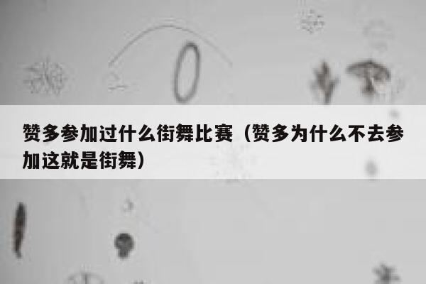 赞多参加过什么街舞比赛（赞多为什么不去参加这就是街舞） 第1张