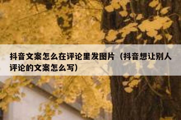 抖音文案怎么在评论里发图片（抖音想让别人评论的文案怎么写） 第1张