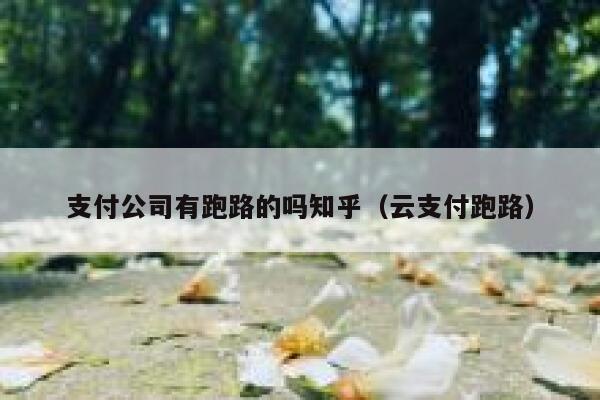 支付公司有跑路的吗知乎（云支付跑路） 第1张
