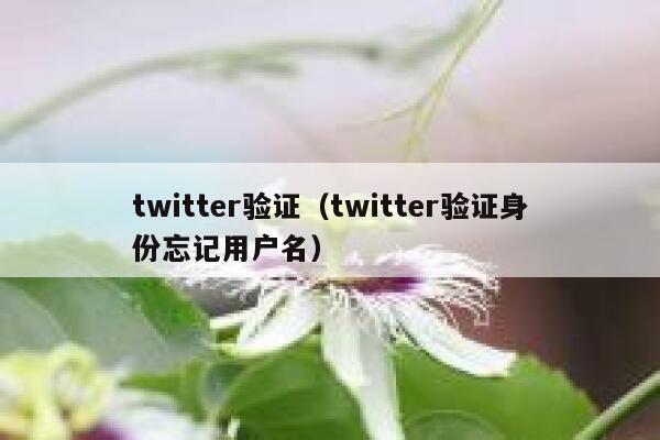 twitter验证（twitter验证身份忘记用户名） 第1张