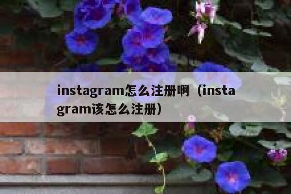instagram怎么注册啊（instagram该怎么注册） 第1张