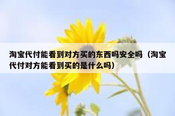 淘宝代付能看到对方买的东西吗安全吗(淘宝代付对方能看到买的是什么吗) 第1张 淘宝代付能看到对方买的东西吗安全吗(淘宝代付对方能看到买的是什么吗) 第1张