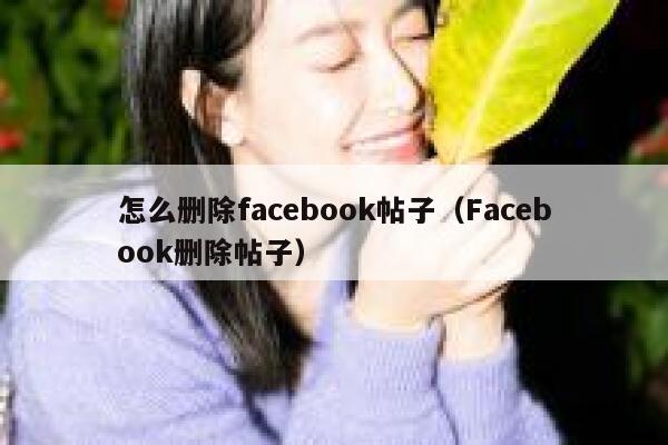 怎么删除facebook帖子（Facebook删除帖子） 第1张