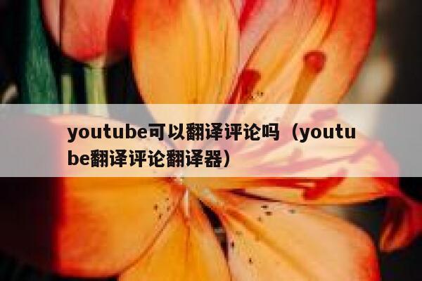 youtube可以翻译评论吗（youtube翻译评论翻译器） 第1张