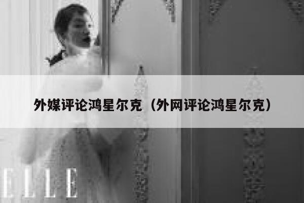 外媒评论鸿星尔克（外网评论鸿星尔克） 第1张