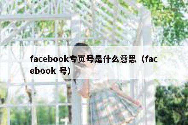 facebook专页号是什么意思（facebook 号） 第1张