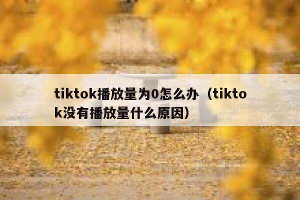 tiktok播放量为0怎么办(tiktok没有播放量什么原因) 第1张 tiktok播放量为0怎么办(tiktok没有播放量什么原因) 第1张