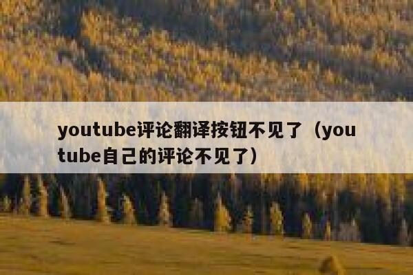 youtube评论翻译按钮不见了（youtube自己的评论不见了） 第1张