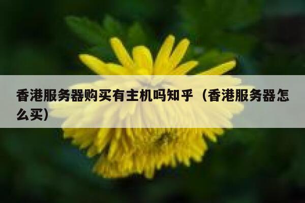 香港服务器购买有主机吗知乎（香港服务器怎么买） 第1张