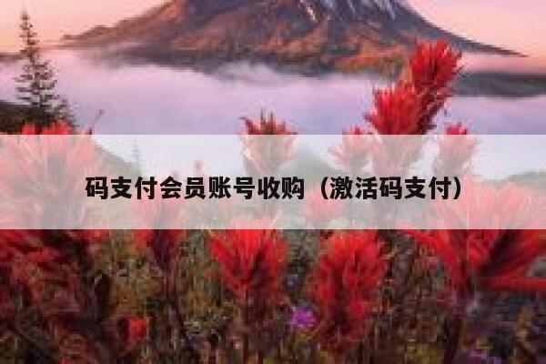 码支付会员账号收购（激活码支付） 第1张