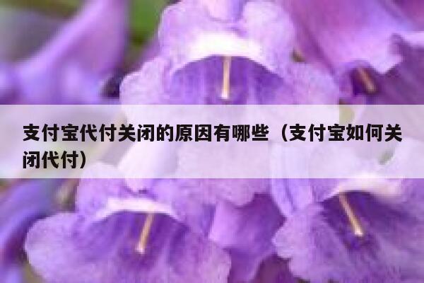 支付宝代付关闭的原因有哪些（支付宝如何关闭代付） 第1张
