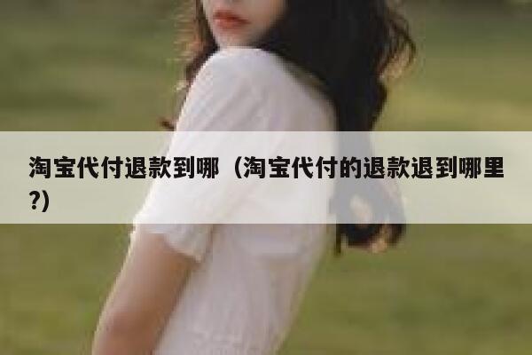 淘宝代付退款到哪(淘宝代付的退款退到哪里?) 第1张 淘宝代付退款到哪(淘宝代付的退款退到哪里?) 第1张